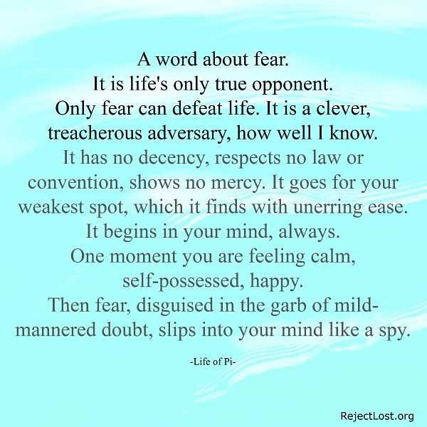 Detail Facing Fear Quotes Nomer 30