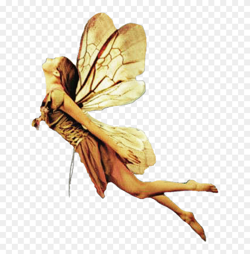 Detail Fairies Png Nomer 32