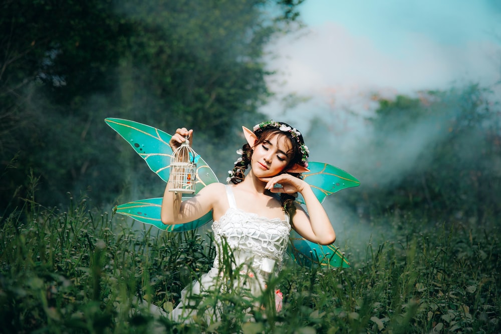 Detail Fairy Images Free Download Nomer 3