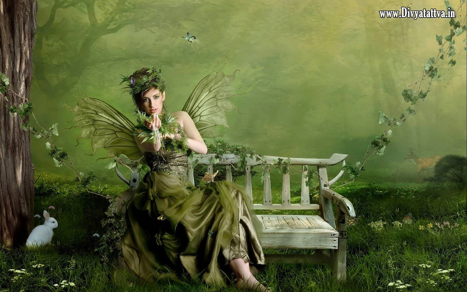 Detail Fairy Images Free Download Nomer 29