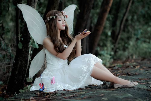 Detail Fairy Images Free Download Nomer 30