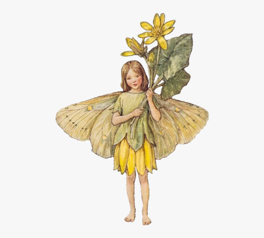 Detail Fairy No Background Nomer 19