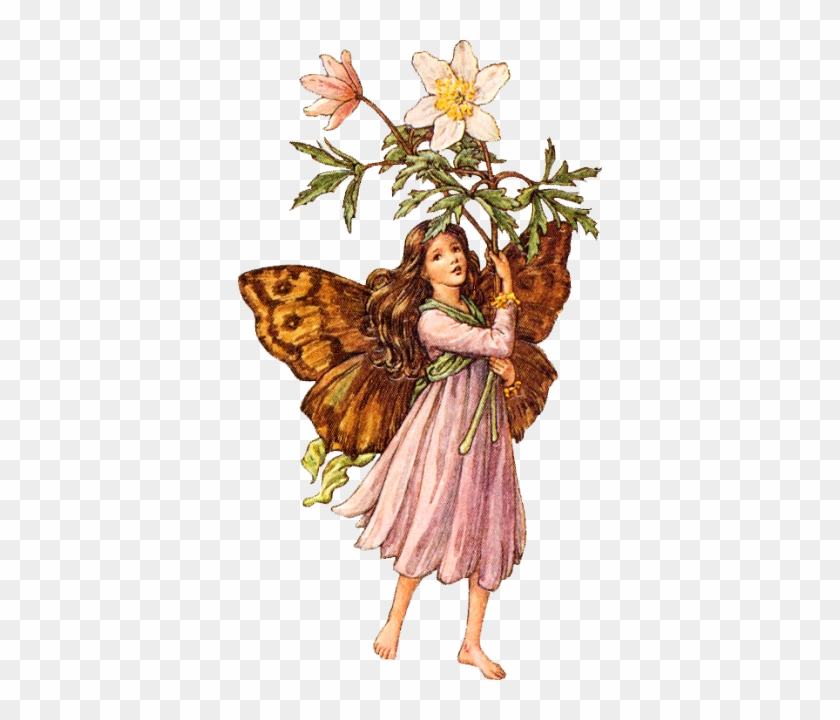 Detail Fairy No Background Nomer 23