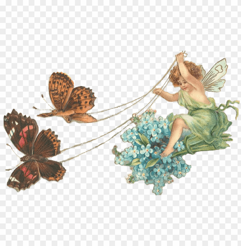 Detail Fairy No Background Nomer 6