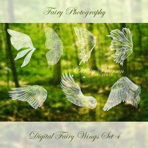 Detail Fairy Wings Photoshop Brushes Nomer 17