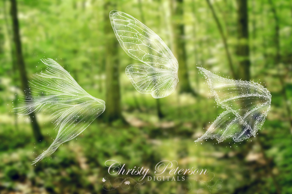 Detail Fairy Wings Photoshop Brushes Nomer 3