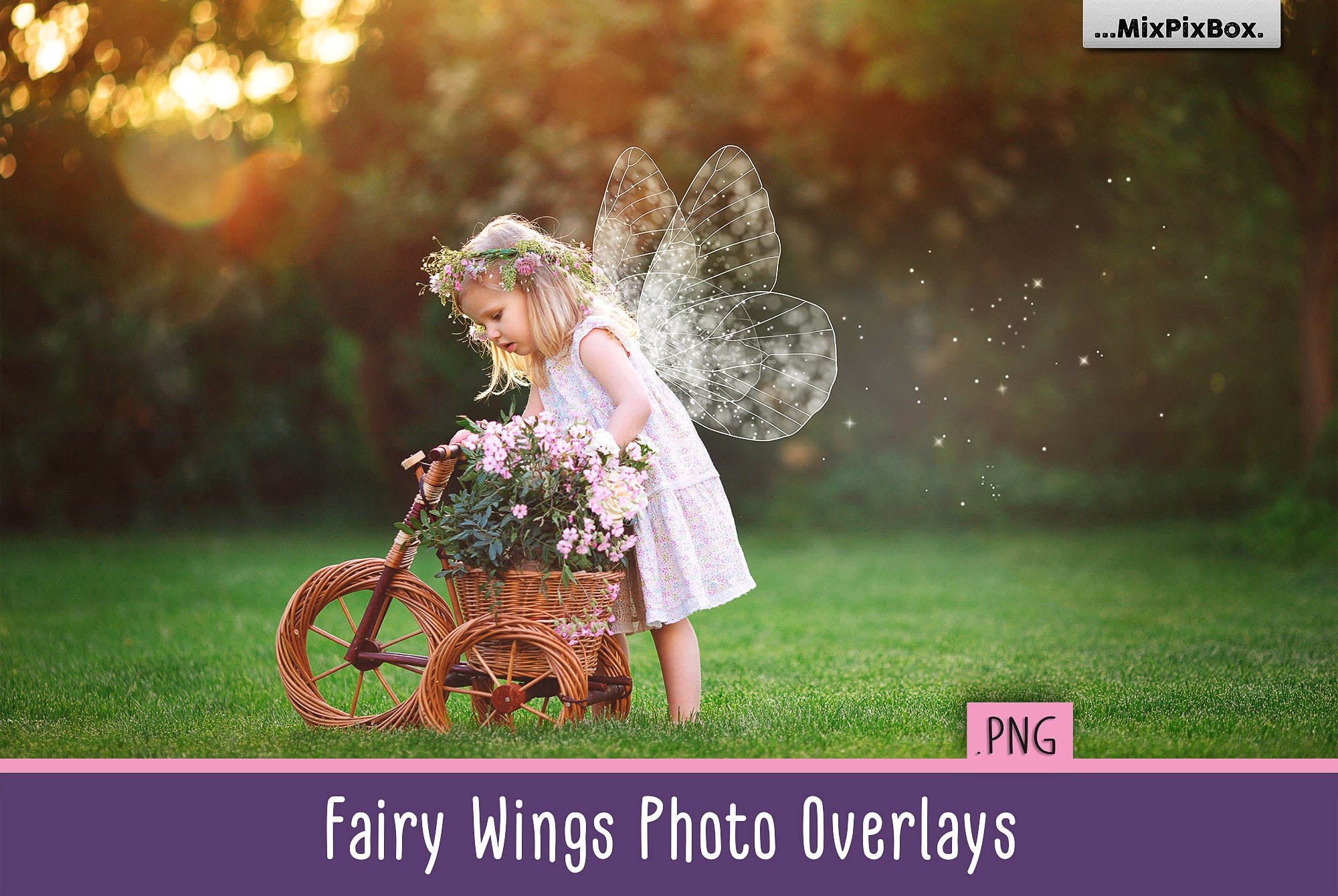 Detail Fairy Wings Photoshop Brushes Nomer 41