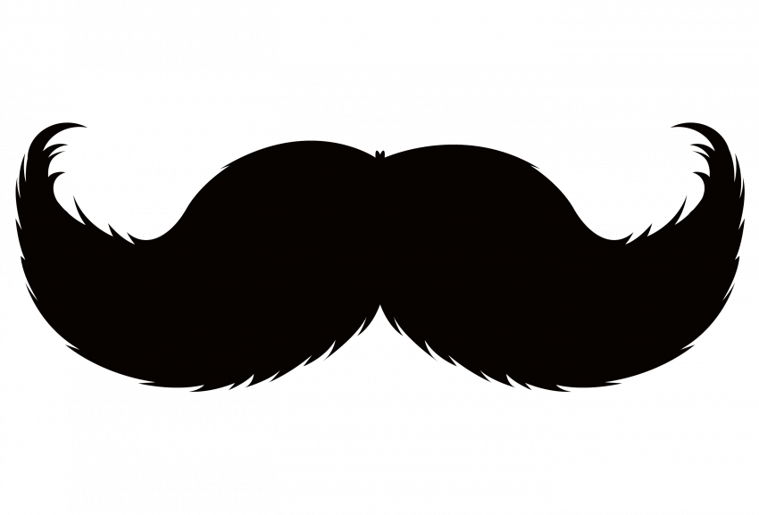 Detail Fake Mustache Png Nomer 23