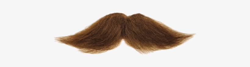 Detail Fake Mustache Png Nomer 25