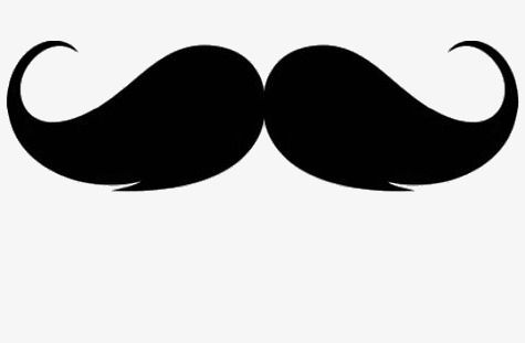 Detail Fake Mustache Png Nomer 55