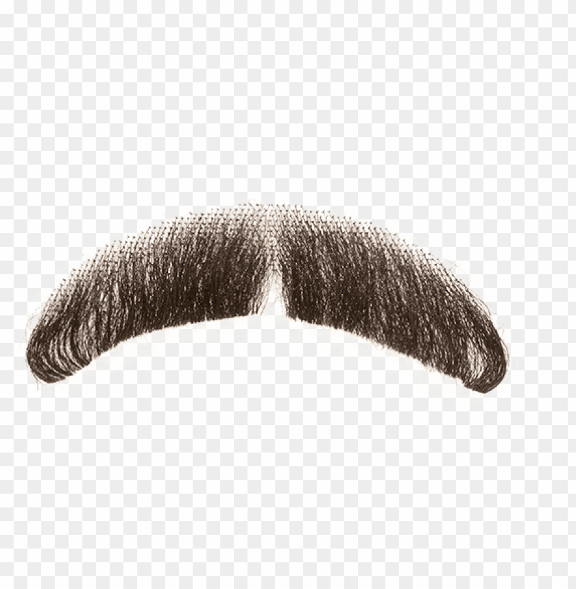 Detail Fake Mustache Png Nomer 7