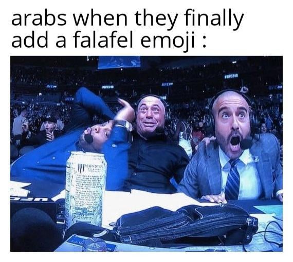 Detail Falafel Meme Nomer 37