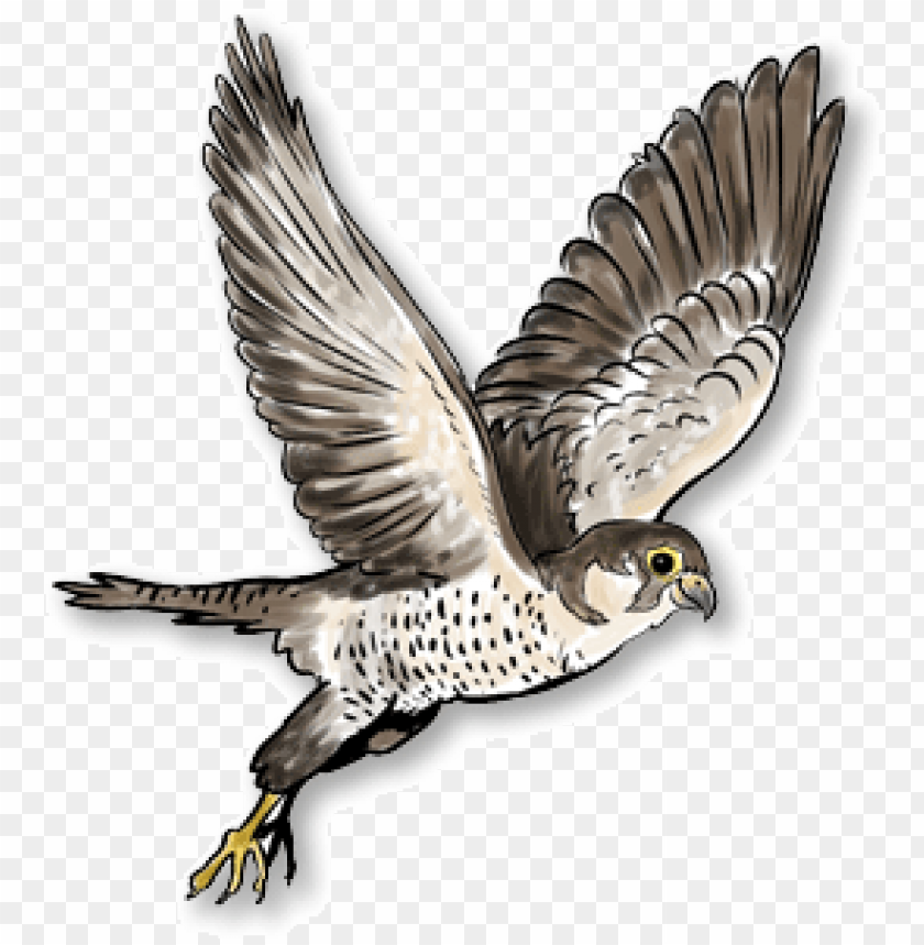 Detail Falco Png Nomer 48