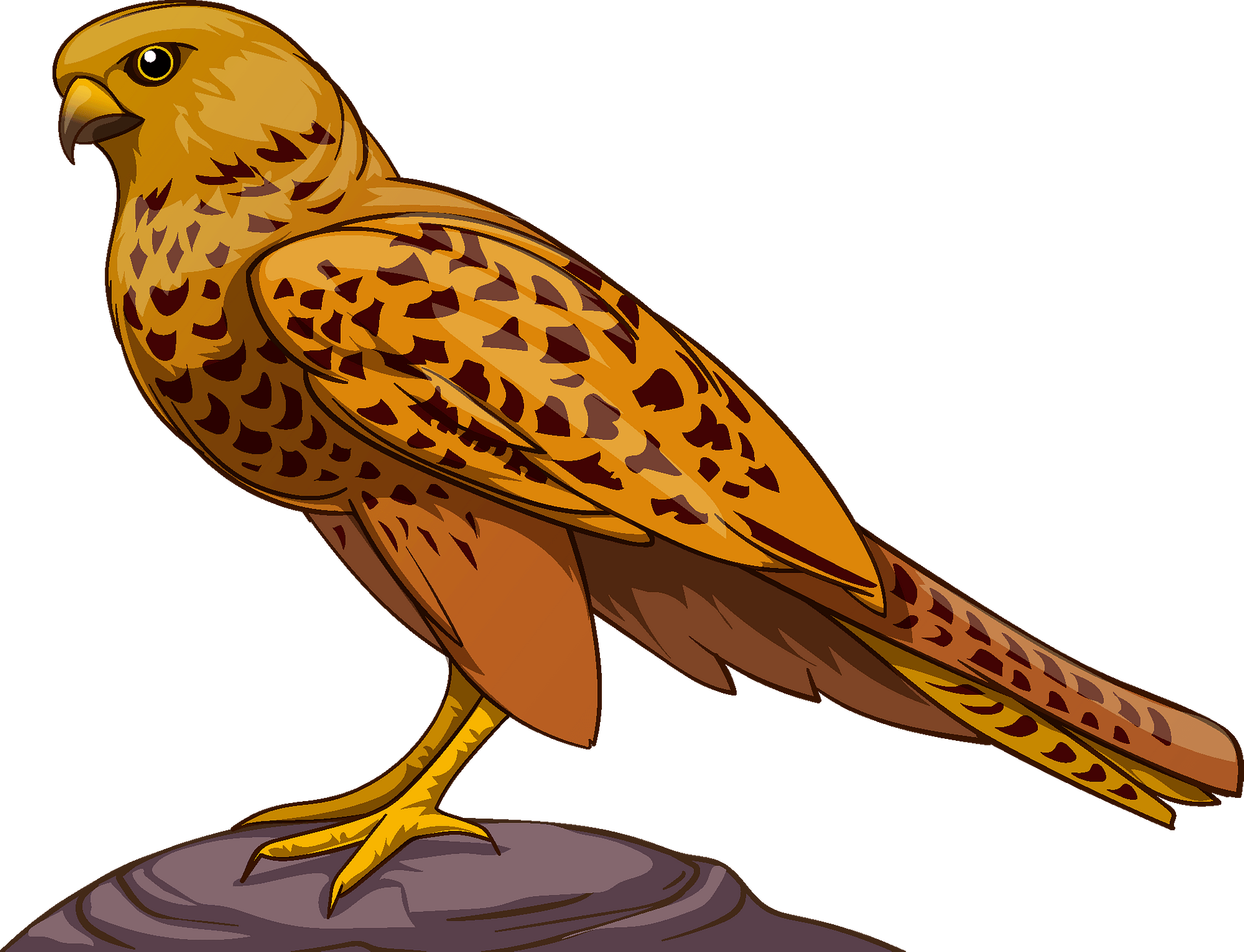 Falcon Clipart - KibrisPDR