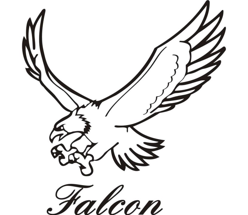 Detail Falcon Clipart Nomer 10