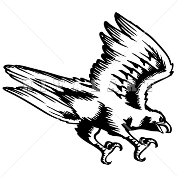 Detail Falcon Clipart Nomer 12