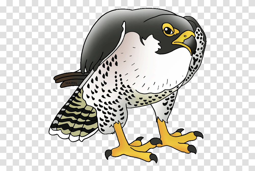 Detail Falcon Clipart Nomer 13
