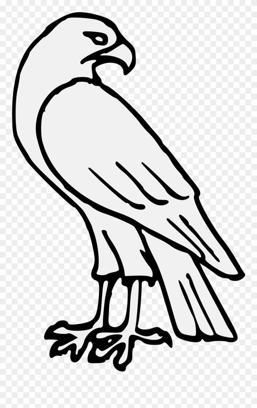 Detail Falcon Clipart Nomer 15