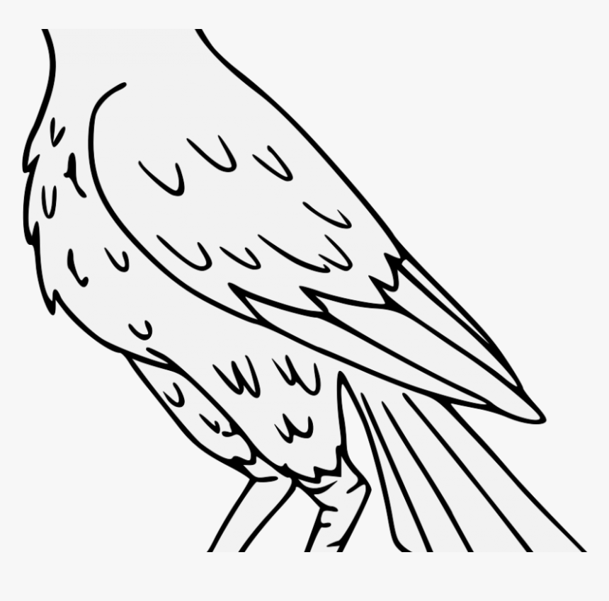 Detail Falcon Clipart Nomer 16