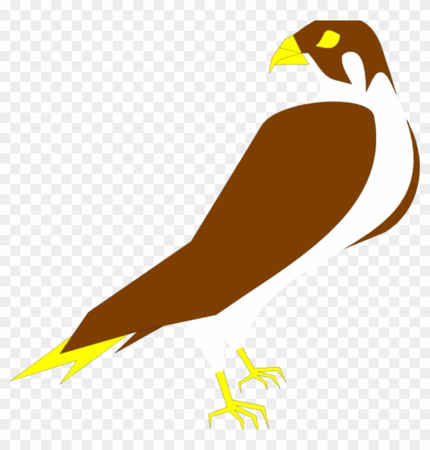Detail Falcon Clipart Nomer 18