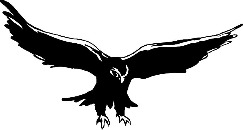 Detail Falcon Clipart Nomer 2
