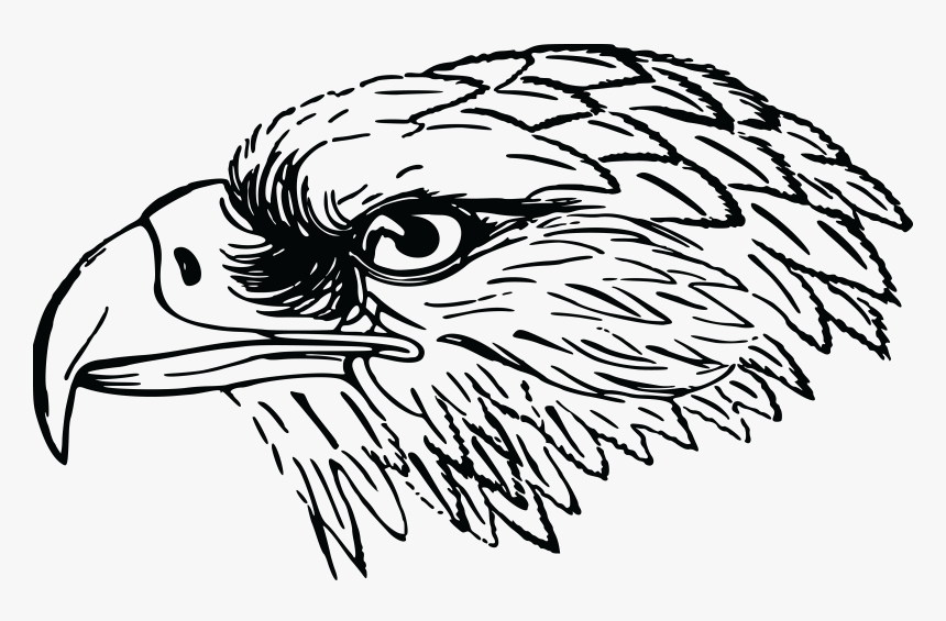 Detail Falcon Clipart Nomer 33