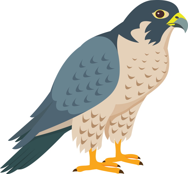 Detail Falcon Clipart Nomer 4
