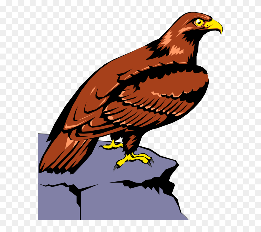 Detail Falcon Clipart Nomer 39