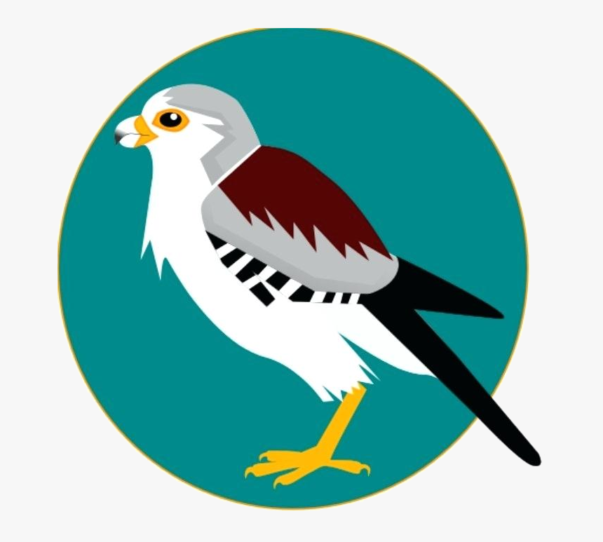 Detail Falcon Clipart Nomer 40
