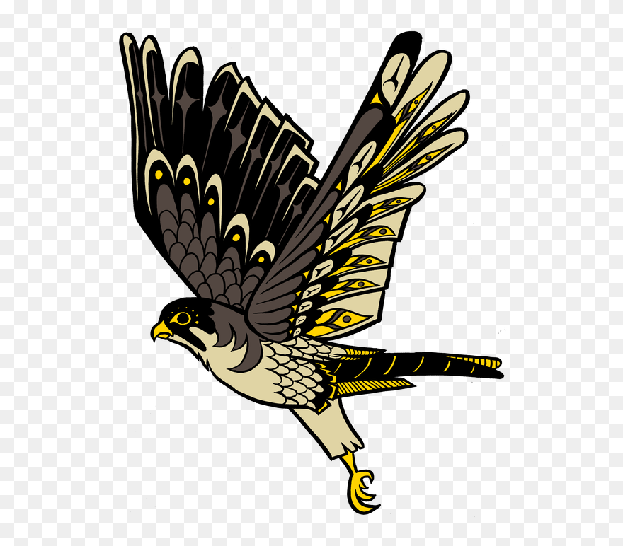 Detail Falcon Clipart Nomer 44