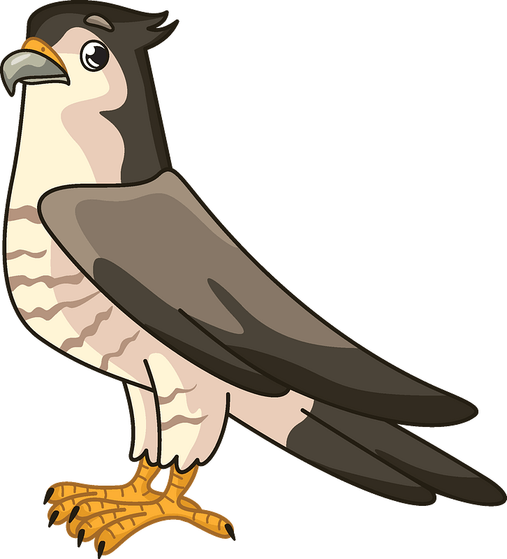 Detail Falcon Clipart Nomer 5