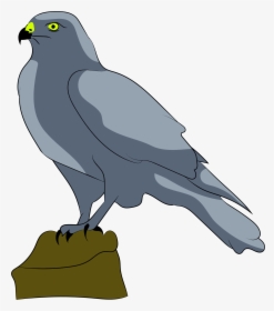 Detail Falcon Clipart Nomer 49