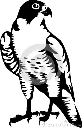 Detail Falcon Clipart Nomer 52