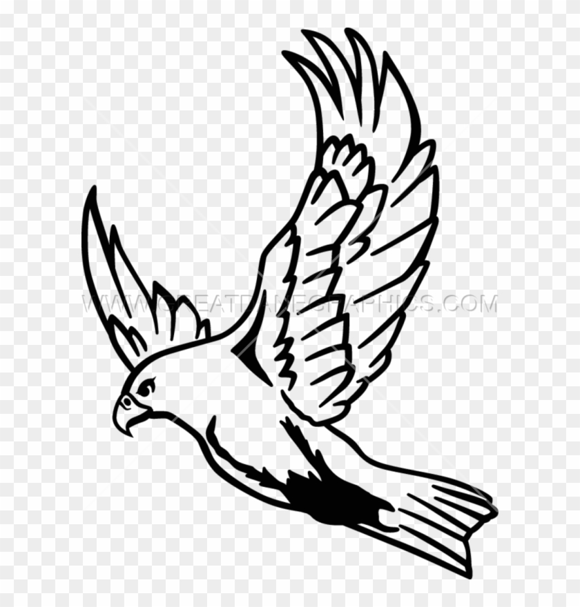 Detail Falcon Clipart Nomer 6