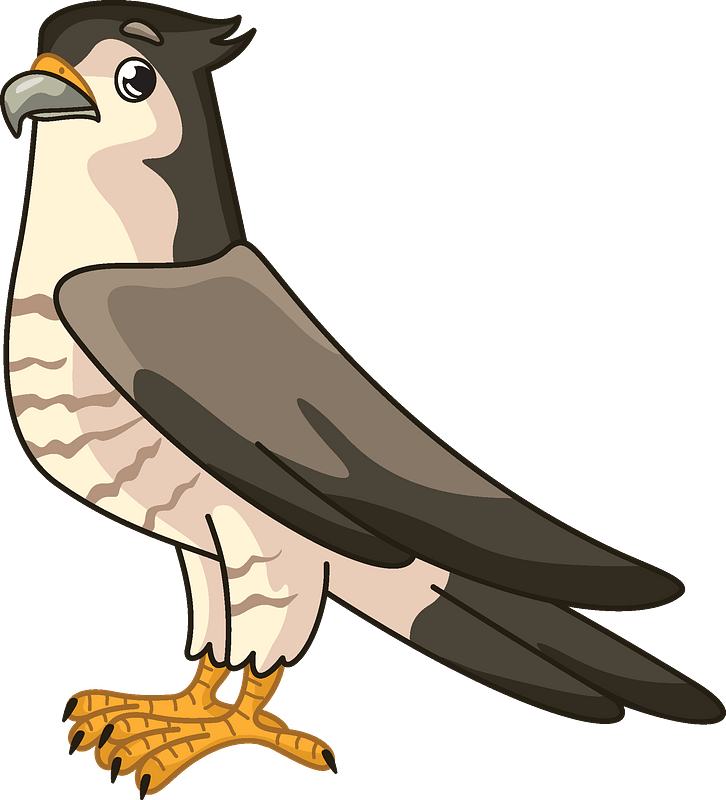 Detail Falcon Clipart Free Nomer 15