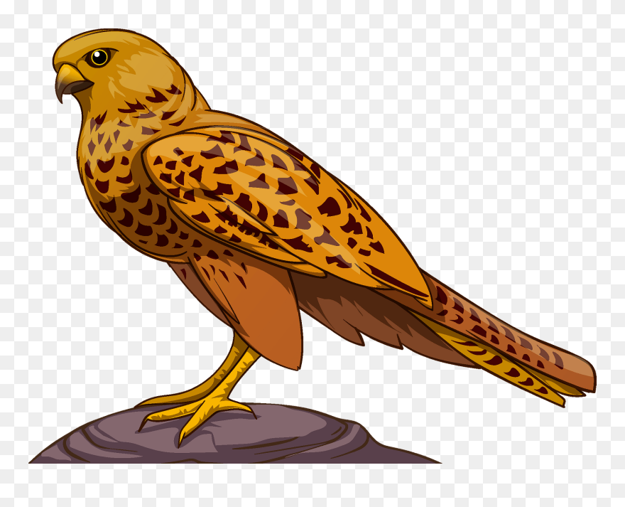 Detail Falcon Clipart Free Nomer 3