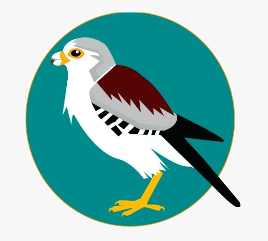 Detail Falcon Clipart Free Nomer 34