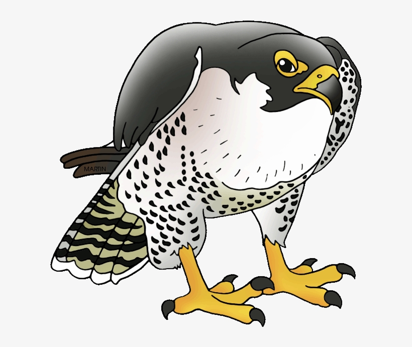 Detail Falcon Clipart Free Nomer 36