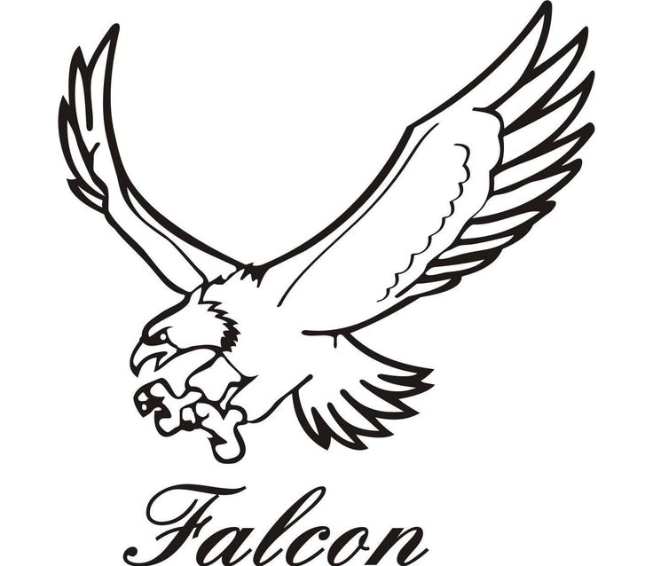 Detail Falcon Images Free Nomer 26