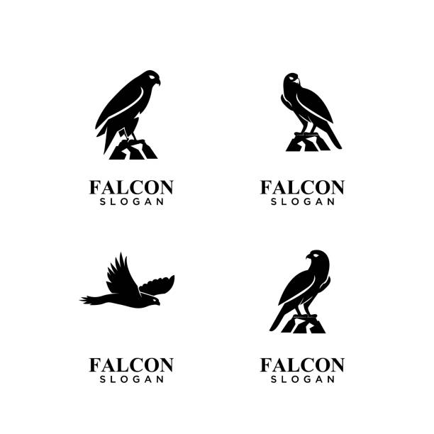 Detail Falcon Images Graphics Nomer 22