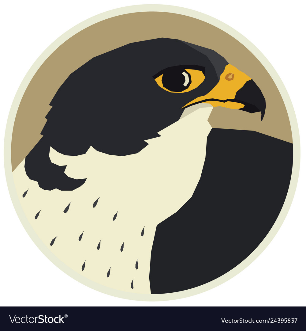 Detail Falcon Images Graphics Nomer 24