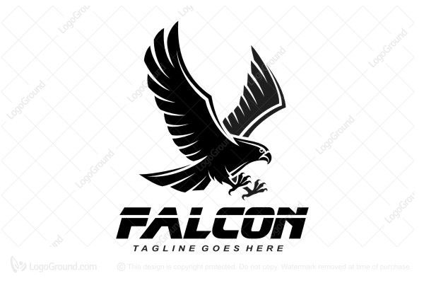 Detail Falcon Logo Png Nomer 42