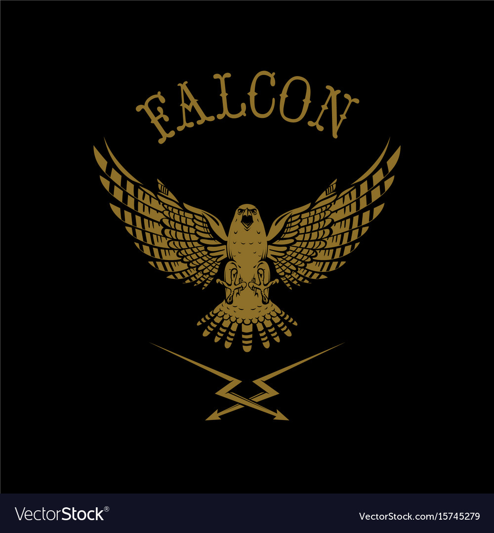 Detail Falcon Pictures Logo Nomer 14