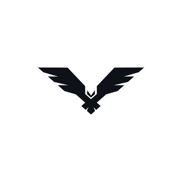 Detail Falcon Pictures Logo Nomer 6
