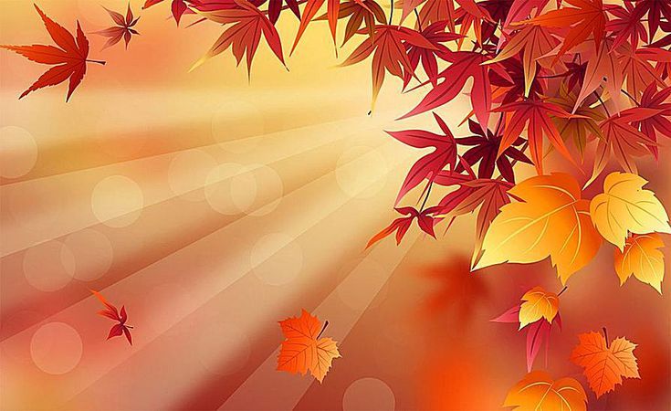 Fall Background Images Free - KibrisPDR
