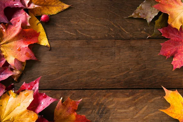 Detail Fall Background Images Free Nomer 2