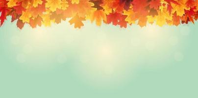 Detail Fall Background Images Free Nomer 12