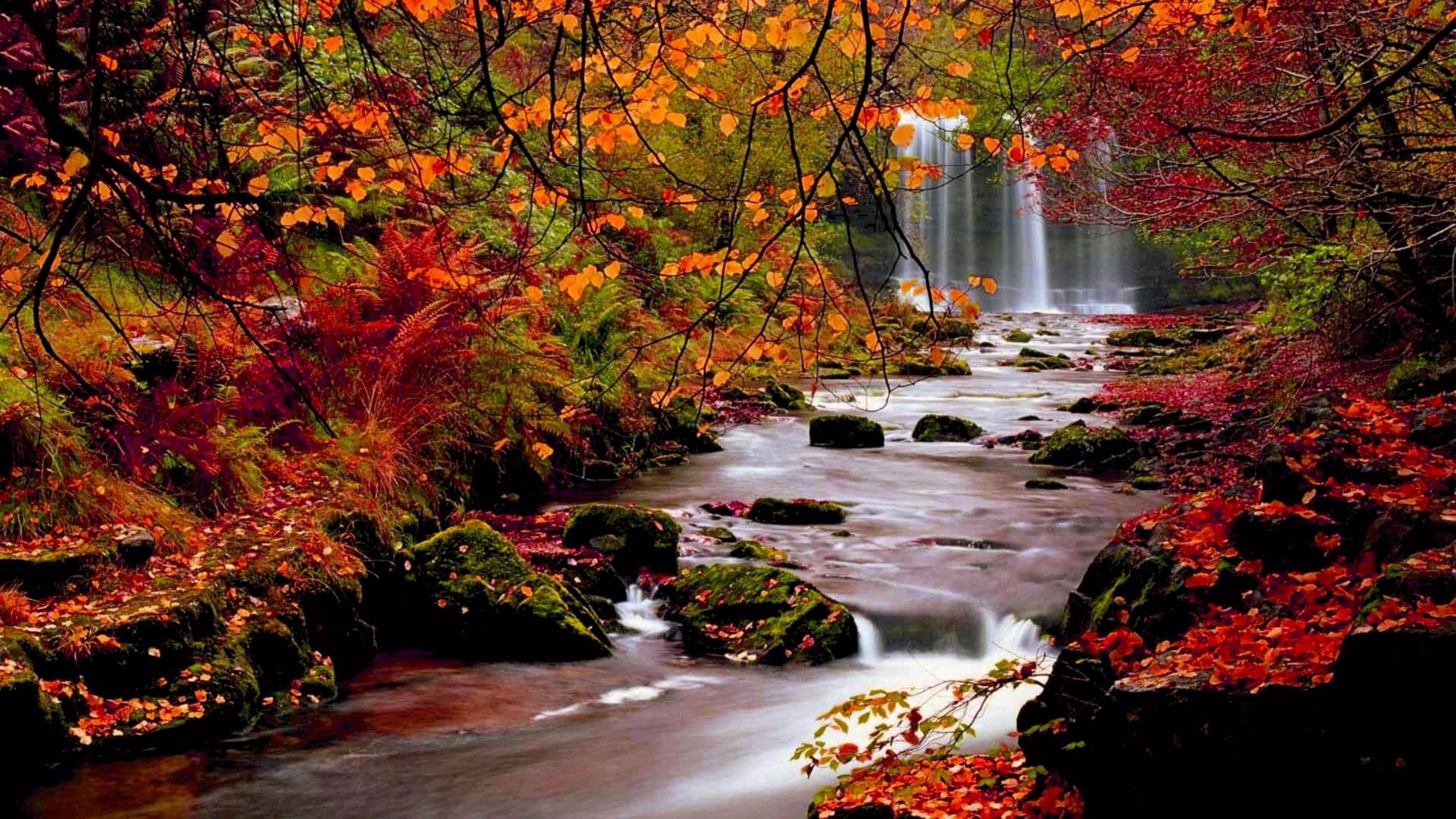 Detail Fall Background Images Free Nomer 16
