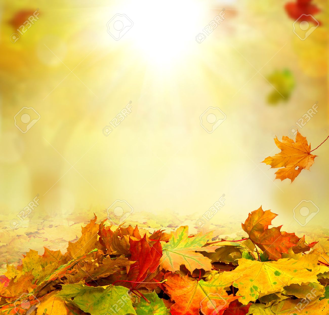 Detail Fall Background Images Free Nomer 24