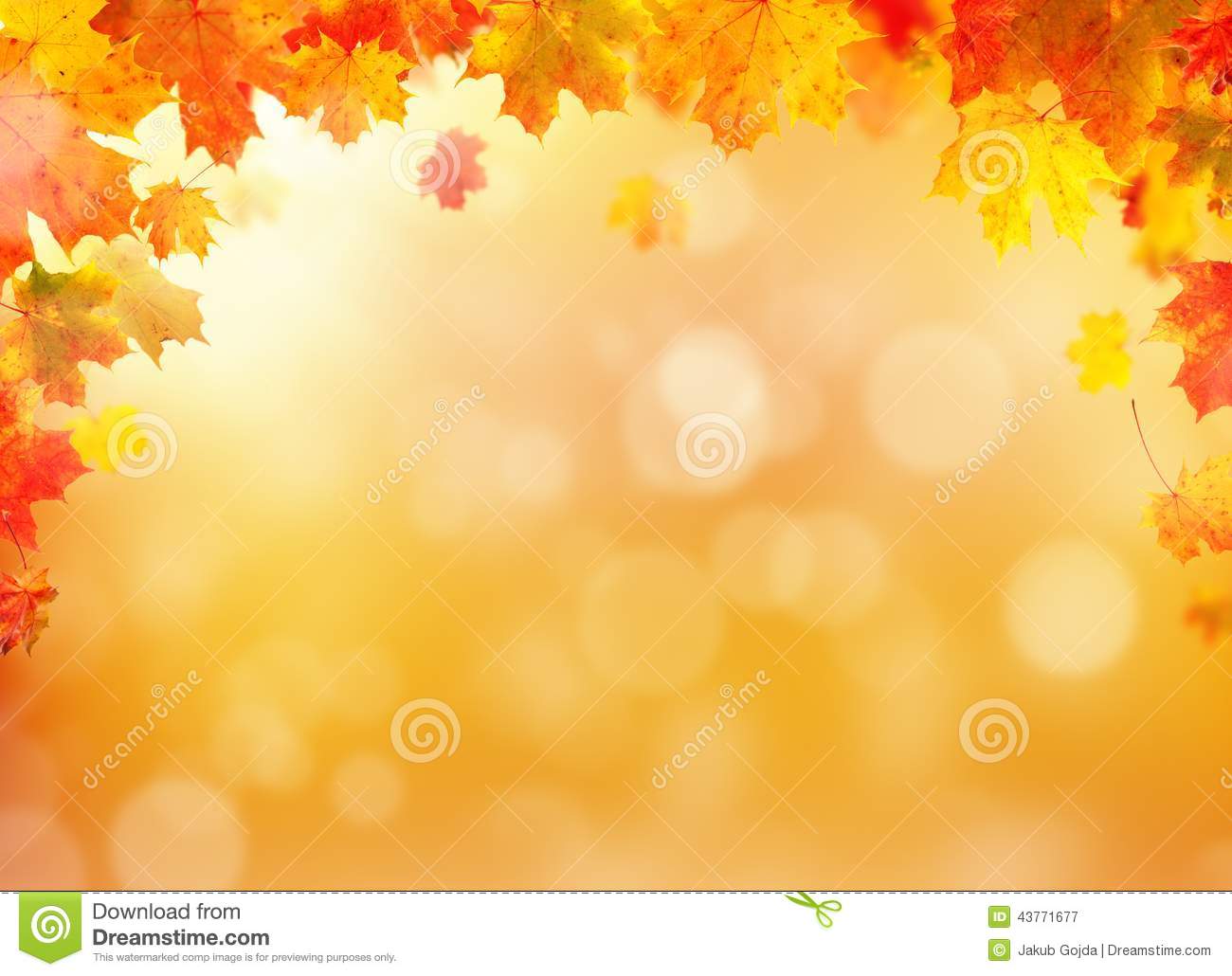Detail Fall Background Images Free Nomer 26